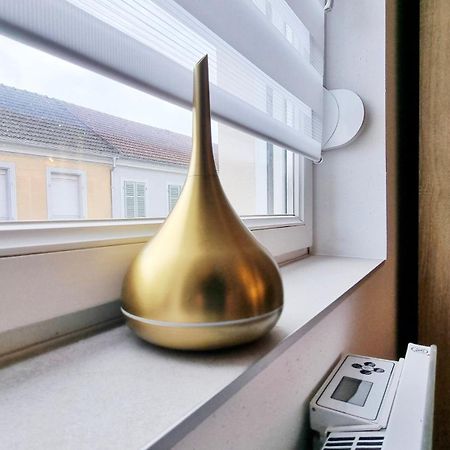 Les Suites Mulhousiennes - Charme & Serenite Mulhouse Esterno foto