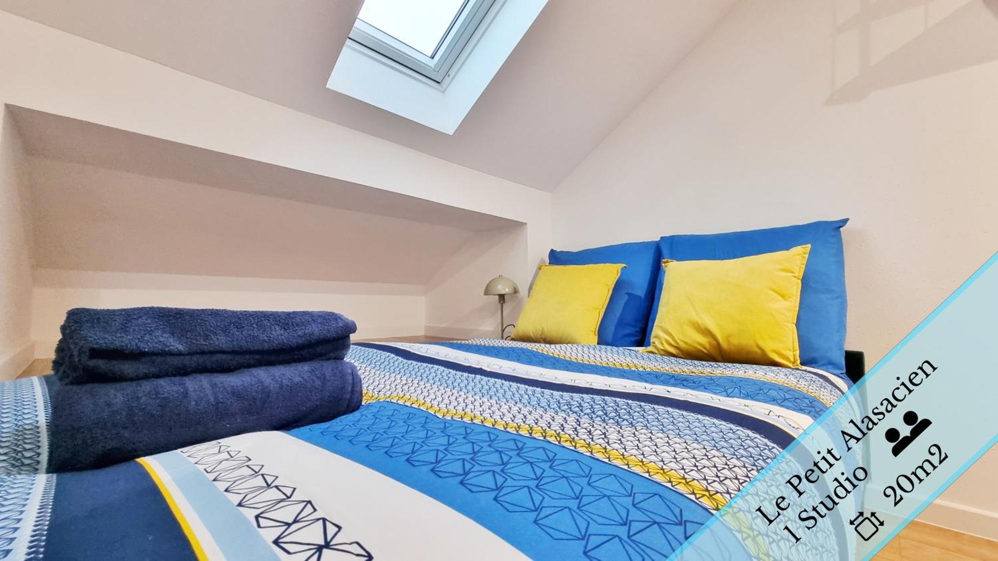 Les Suites Mulhousiennes - Charme & Serenite Mulhouse Esterno foto