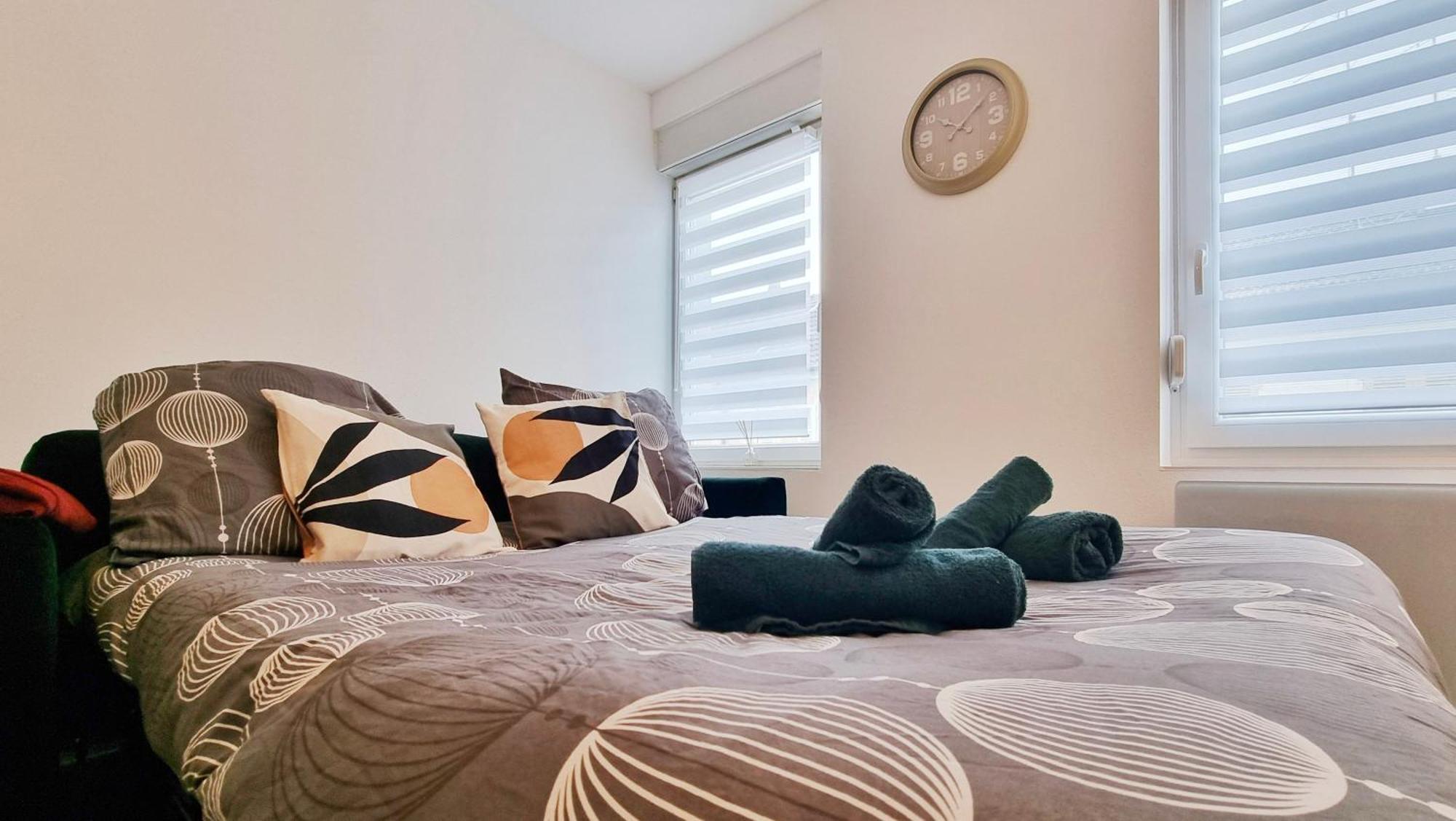 Les Suites Mulhousiennes - Charme & Serenite Mulhouse Esterno foto