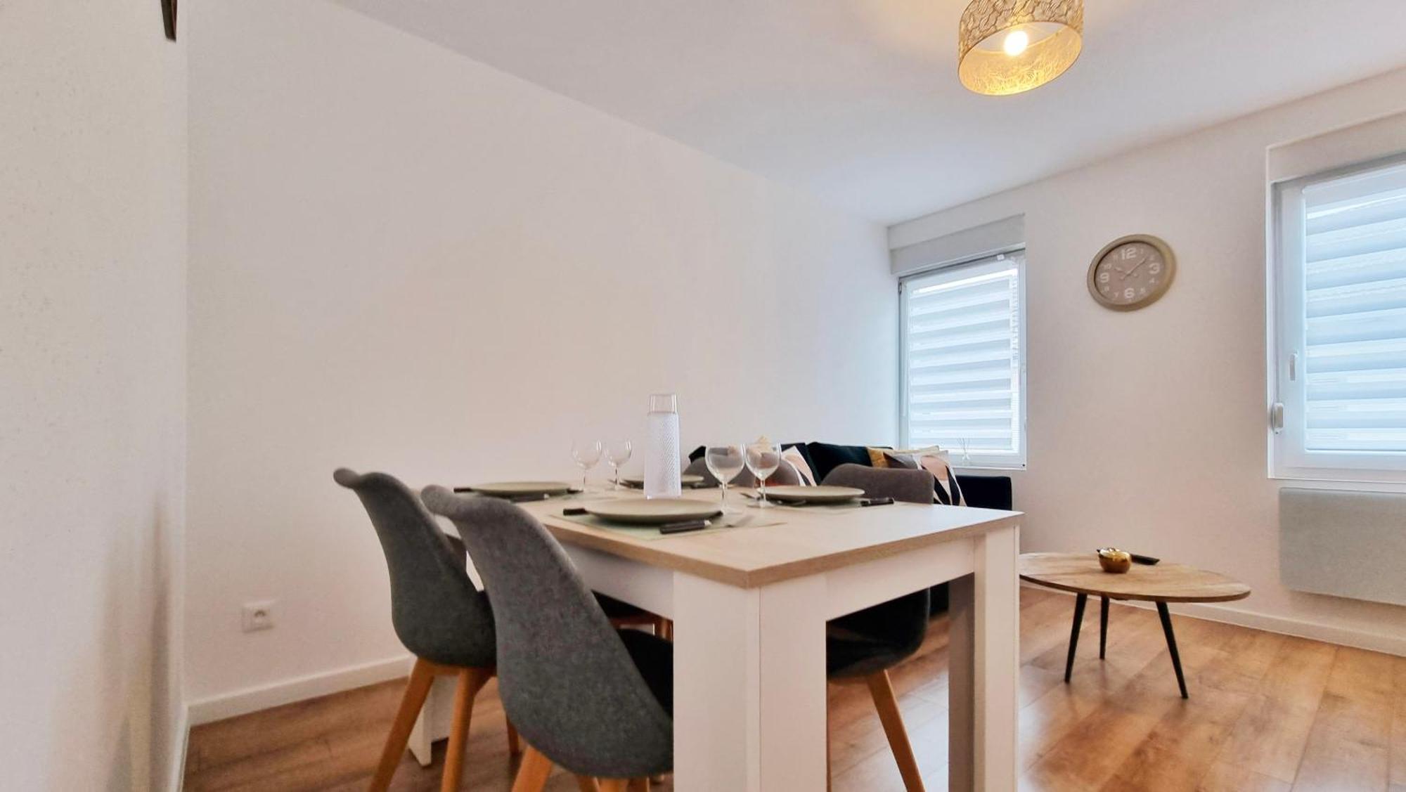 Les Suites Mulhousiennes - Charme & Serenite Mulhouse Esterno foto