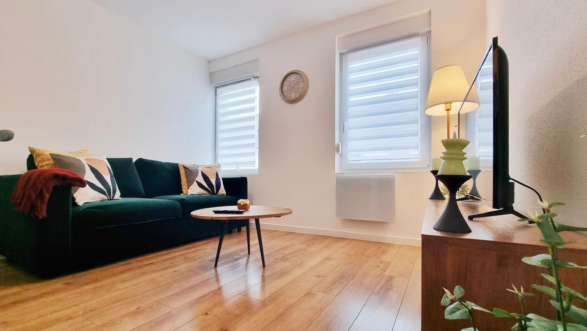 Les Suites Mulhousiennes - Charme & Serenite Mulhouse Esterno foto