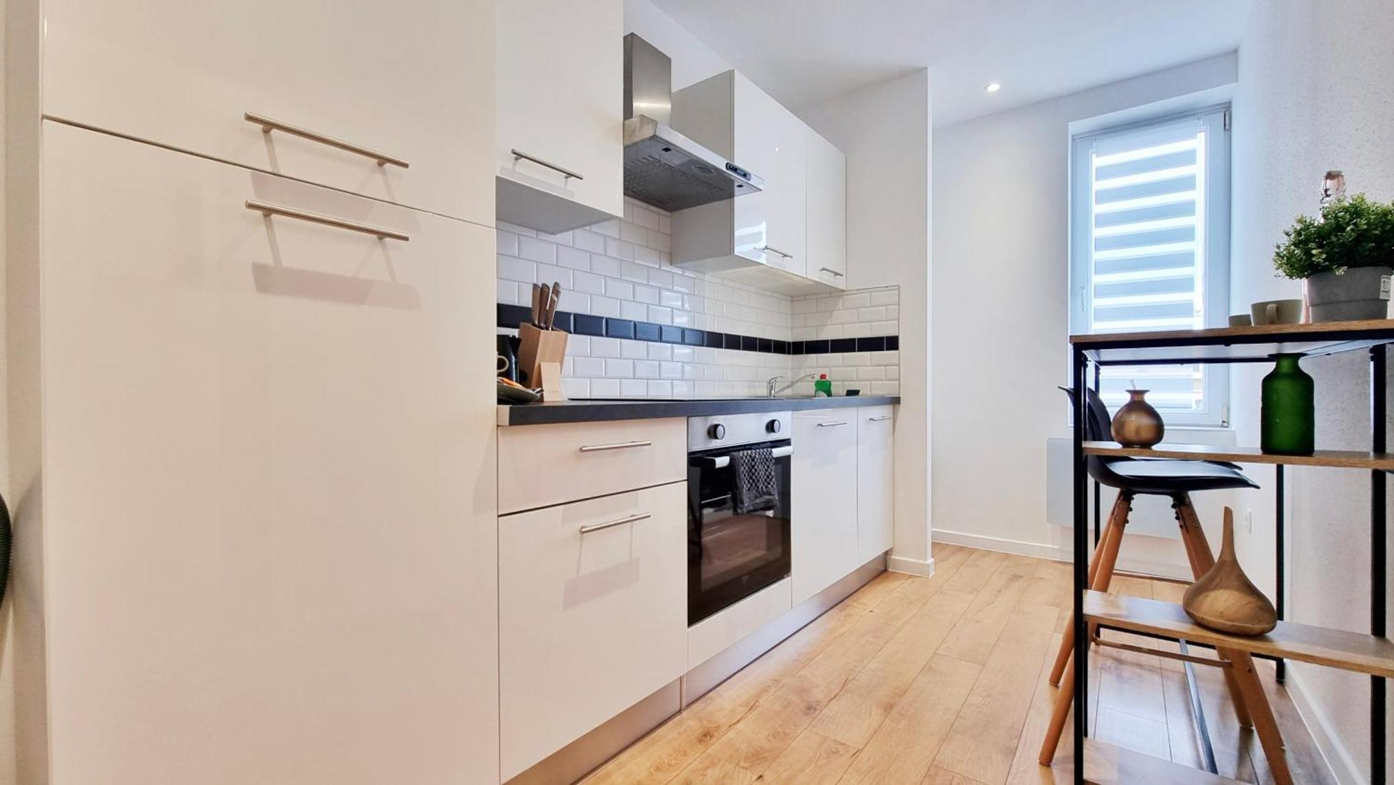 Les Suites Mulhousiennes - Charme & Serenite Mulhouse Esterno foto