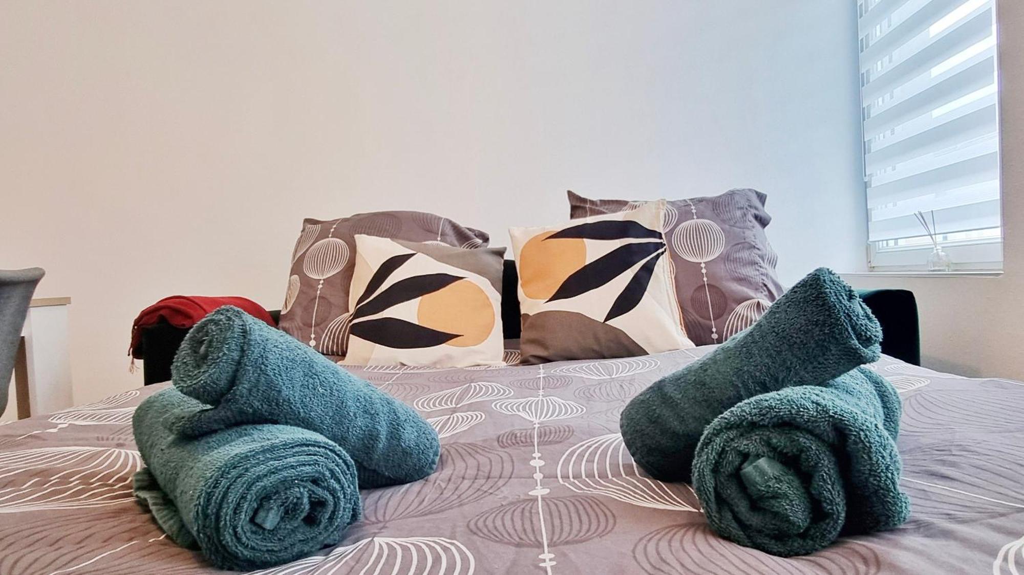 Les Suites Mulhousiennes - Charme & Serenite Mulhouse Esterno foto